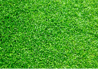 artificial grass SA