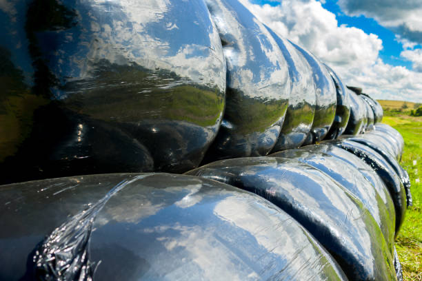 silage film